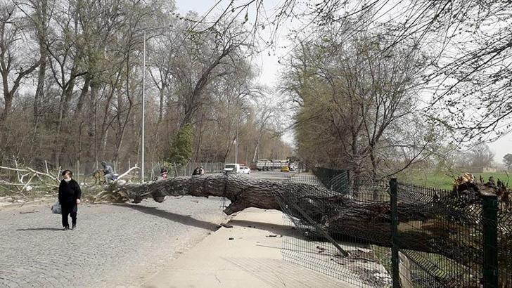 Marmara için 'kuvvetli rüzgar’ uyarısı