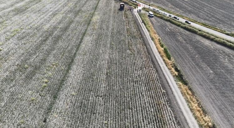 Hatay'da pamuk hasadı başladı