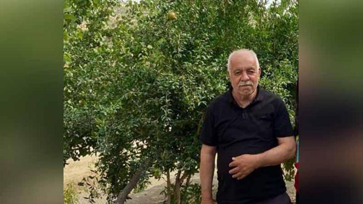 Ceviz toplamak için çıktığı ağaçtan düşen muhtar öldü