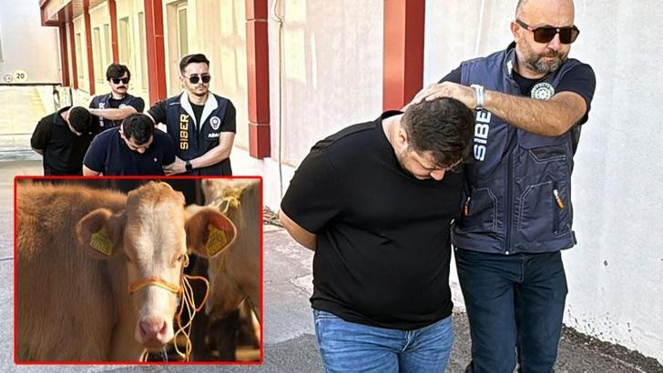 'Sazan sarmalı' yöntemi ile büyükbaş almak isteyen ortakları dolandırdılar