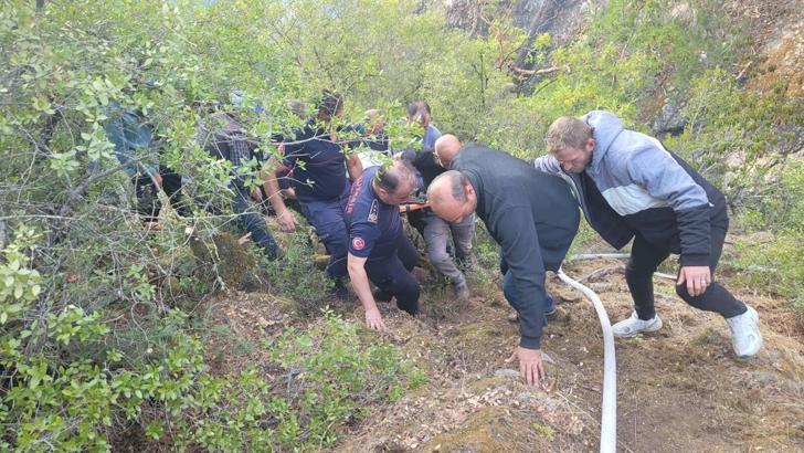 Balıkesir'de orman yangını (2)