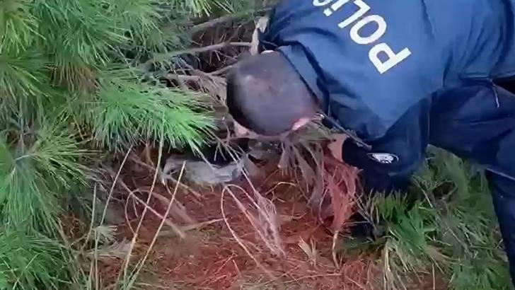 Ormana düzenek kurup kaçak avcılık yapan şüpheliye gözaltı