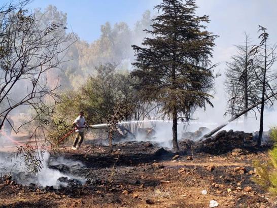 Otluk alanda çıkan yangın söndürüldü