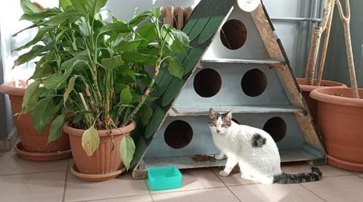 Enerjisa Üretim’den evcil dostlar için güvence ve destek