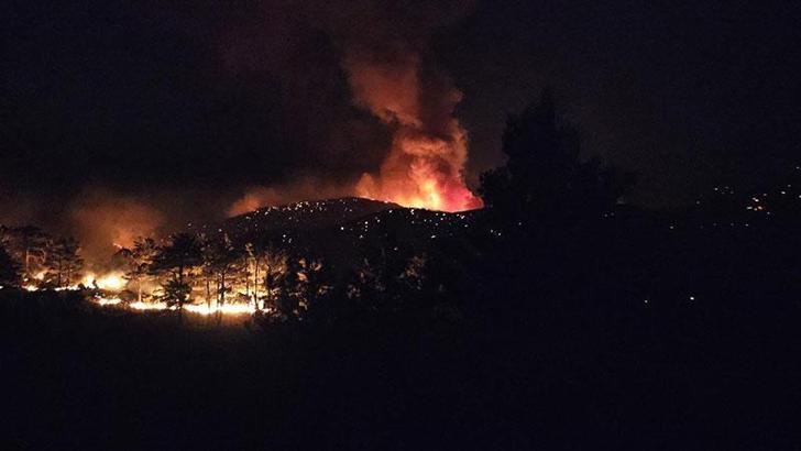Silifke'deki orman yangınına ilişkin 4'ü tutuklu 7 sanık hakim karşısında