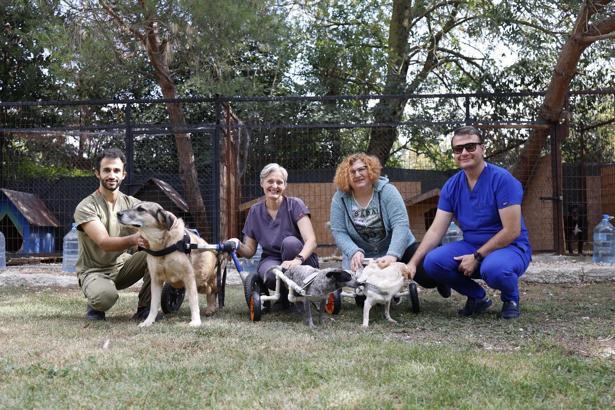 Özel hayvan bakım evinden ‘4 Ekim Hayvanları Koruma Günü’ kapsamında bağış çağrısı