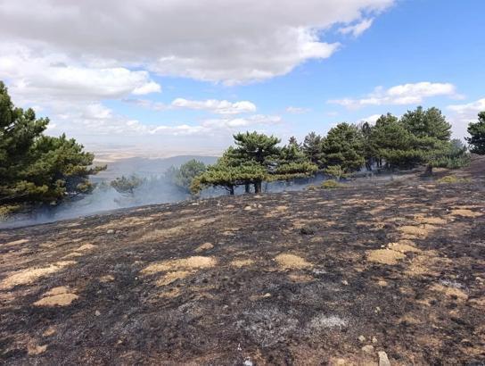 Konya'da orman yangını kontrol altında