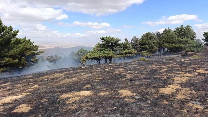 Konya'da orman yangını kontrol altında