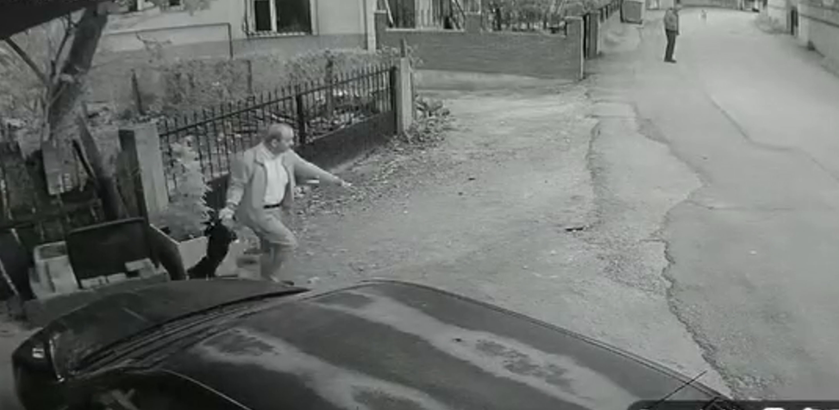 Yavru köpeği kuyruğundan tutup yere fırlattı; o anlar kamerada