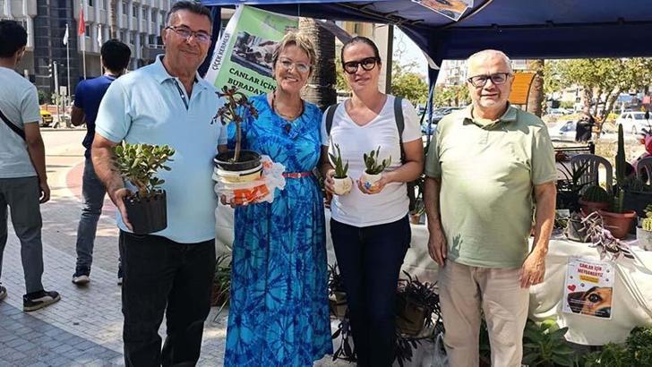 Emekli öğretmenden sokak hayvanları için destek kermesi