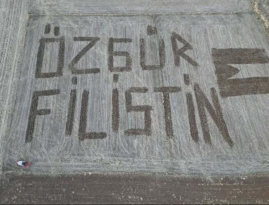 Traktör ile tarlalarına 'Özgür Filistin' yazdılar