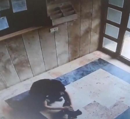 İstanbul - Başakşehir'de kediye işkence davasında karar: 3 yıl 8 ay hapis cezası - 1