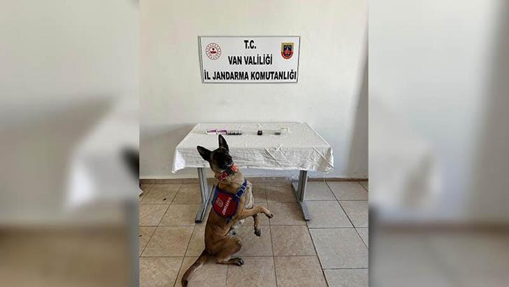 Yol kontrolünde üzerinde 380 sentetik hap ele geçirilen şüpheliye gözaltı