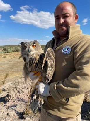 Yaralı puhu kuşu tedavisinin ardından doğaya salındı