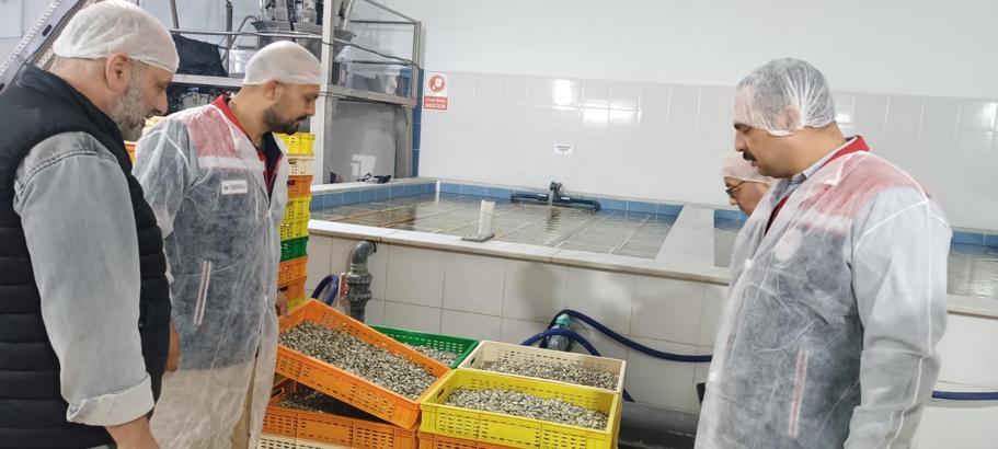 Edirne’de kabuklu su ürünleri işleme tesislerine denetim
