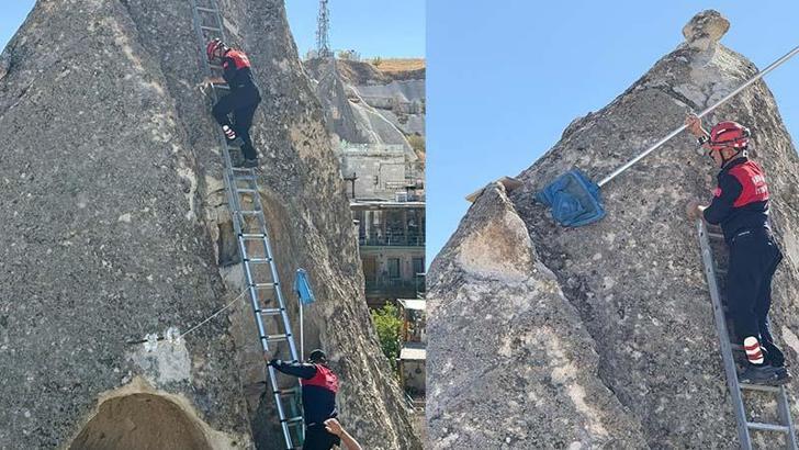 Peribacasında mahsur kalan kediyi itfaiye kurtardı