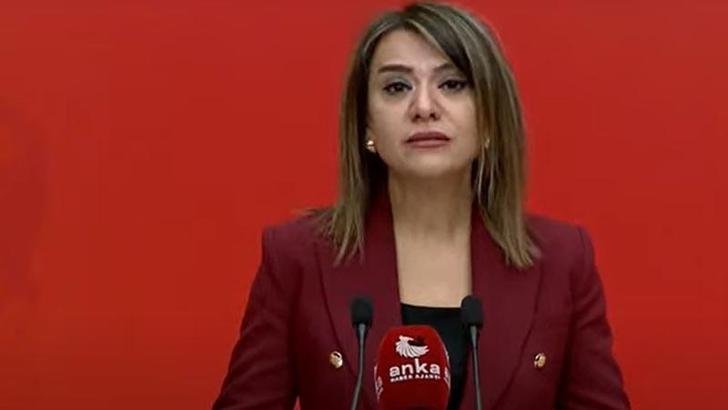 CHP'li Taşcıer: Sayıştay raporları işlevini yitirmiş