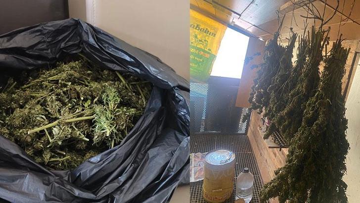 Bursa'da güvercin kümesine gizlenmiş uyuşturucu ele geçirildi