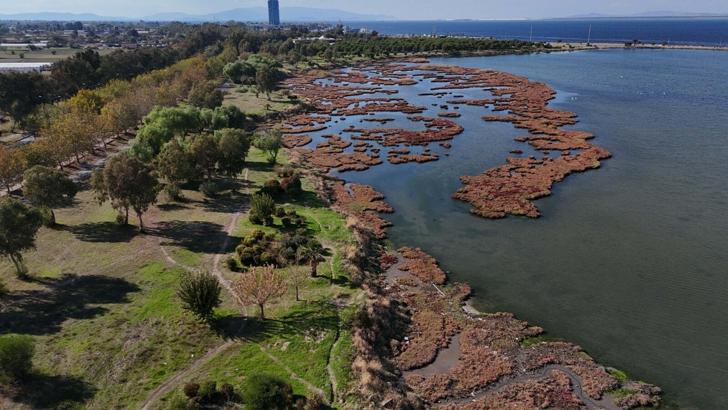 Çakalburnu Lagünü’nde sonbahar manzarası