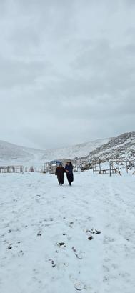 Adana'nın yüksek kesimlerine kar yağdı; yaylada mahsur kalan kadını komşuları kurtardı