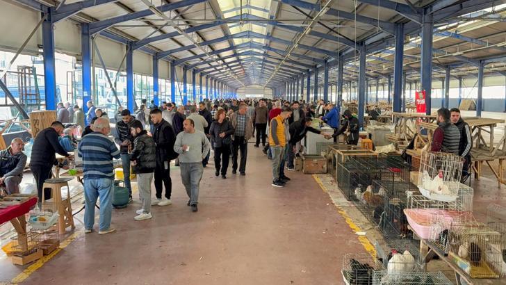 Tekirdağ’da açılan güvercin pazarı, aileler ve çocukların ilgi odağı oldu