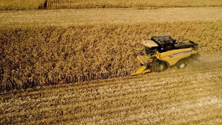 TÜİK: Tarım ürünleri üretici fiyatları eylülde arttı