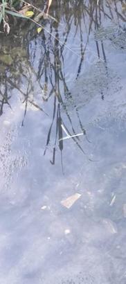 Kırşehir'de bıçaklı yaralamanın şüphelisi tutuklandı