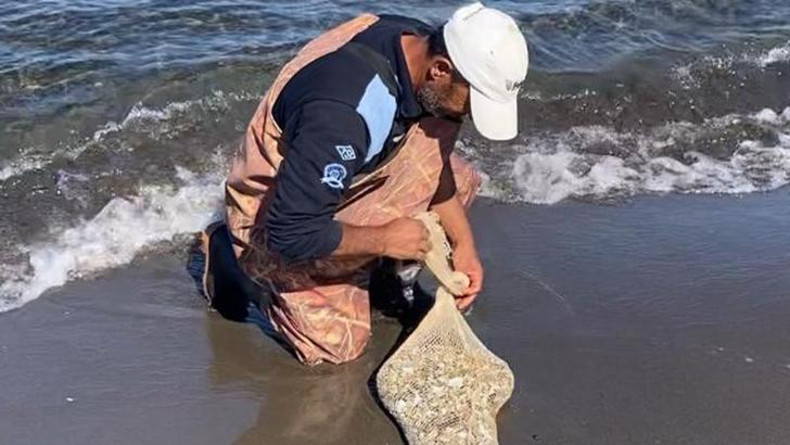 Samsun'da, kaçak yolla avlanan yaklaşık 1 ton kum şırlanı ele geçirildi