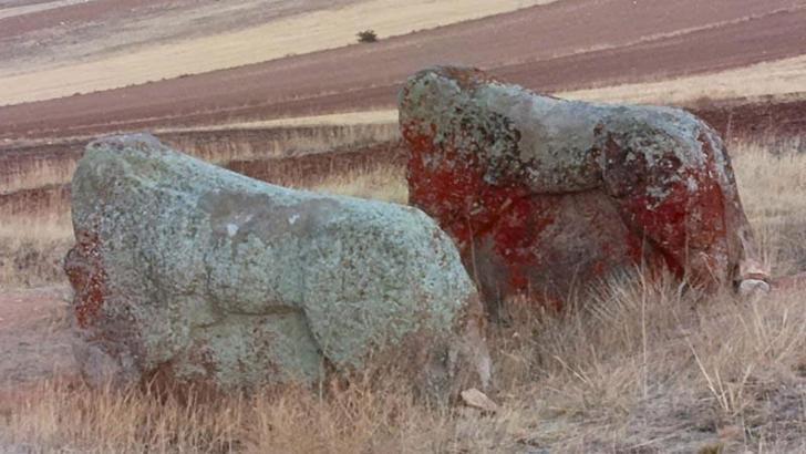 4 bin yıllık 2 Aslantaş için taşınma kararı