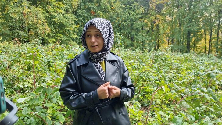 Çiftçi Esra, ilk hasadını ayılara kaptırdı