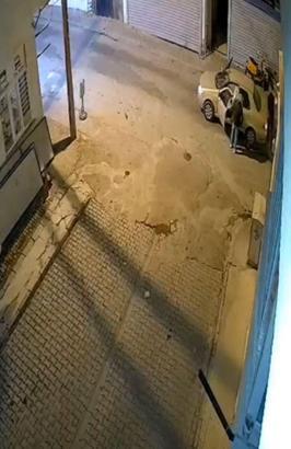 Muğla’da otomobilin altında sürüklenen oklu kirpi öldü