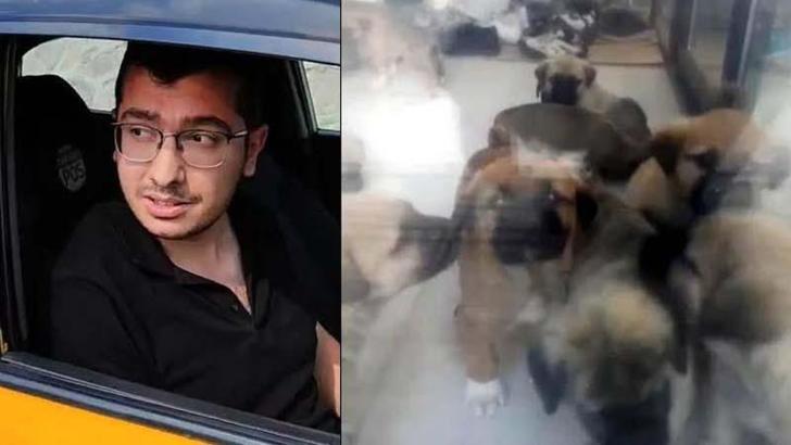 Köpekleri, cinsel istismarda bulunup öldürdüğü öne sürülen doktora 9 yıl 9 ay hapis cezası