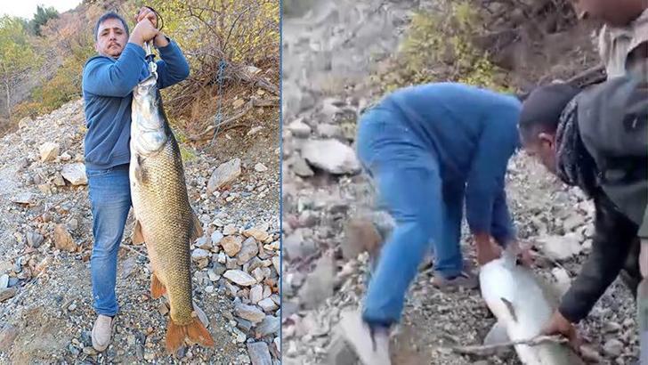 Malatya'da amatör balıkçının oltasına 32 kiloluk turna balığı takıldı