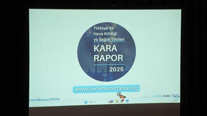 'İstanbul'un soluduğu hava Dünya Sağlık Örgütü'nün önerdiğinin 2,5 katı daha kirli'