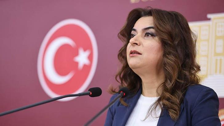 DEM Parti'li Koçyiğit: Tezkerelere 'hayır' oyu vereceğiz