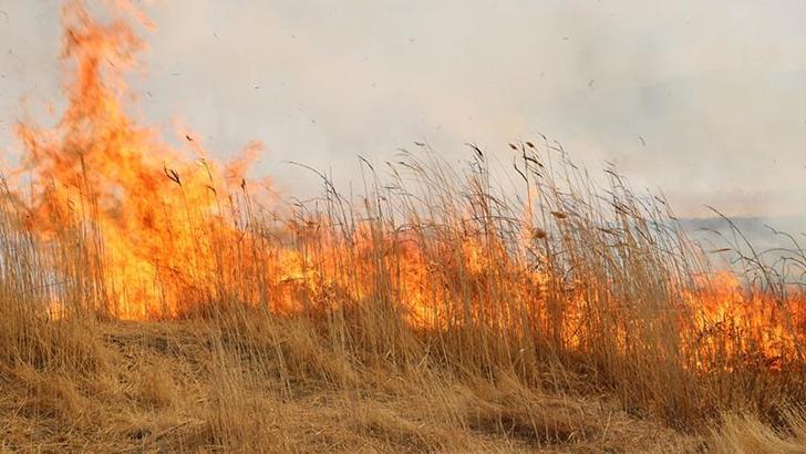 Yüksekova'da Nehil Sazlığı'nda yangın