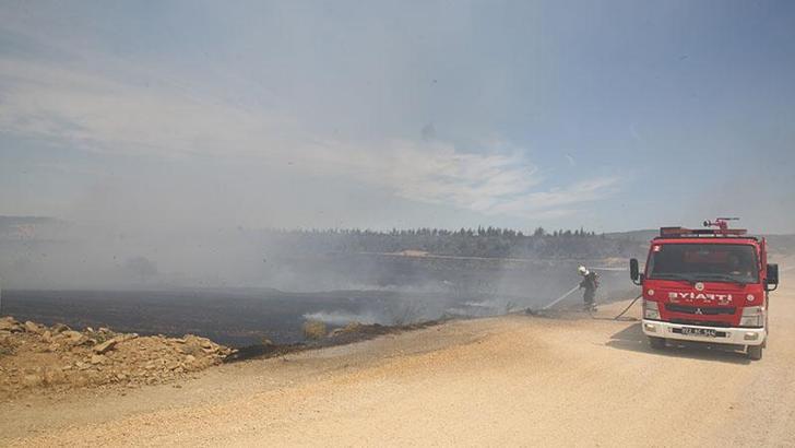 İpsala Kaymakamlığı'ndan anız yakanlara uyarı: Ceza kesmekten yorulduk