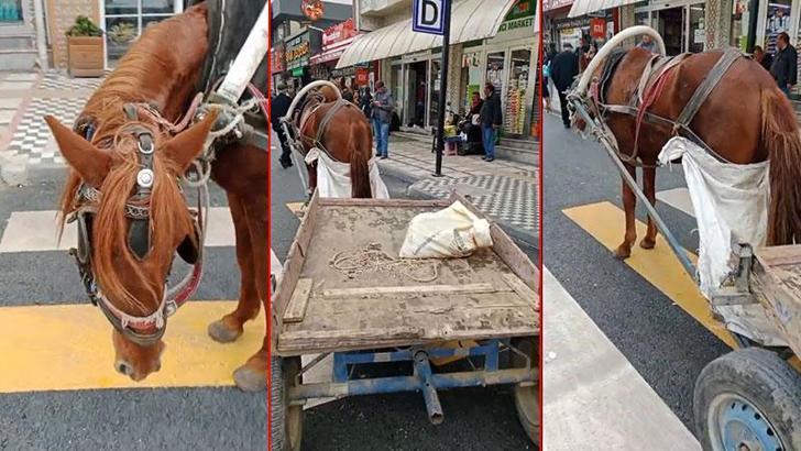 Yaya geçidine park edilen at arabasının sahibine 993 lira ceza