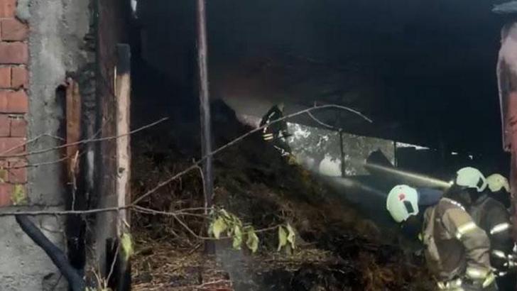 Çatalca’da ahırda yangın çıktı: 4 büyükbaş hayvan telef oldu