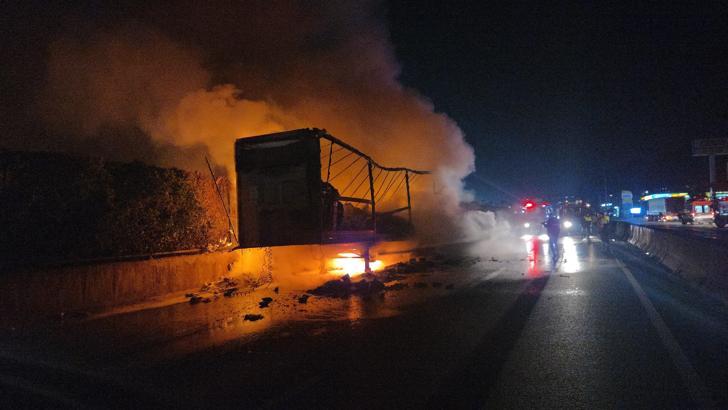 Yalova'da konserve yüklü TIR, alev alev yandı