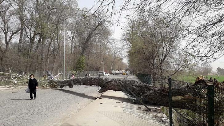 Marmara’nın batısı için ‘fırtına’ uyarısı