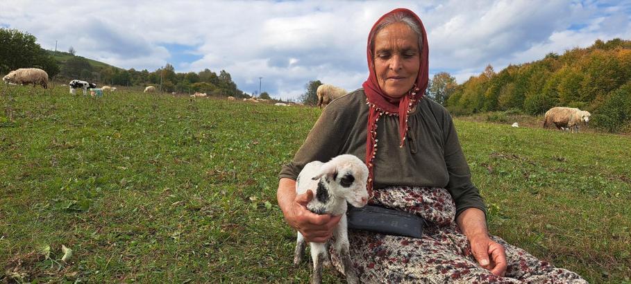 Eşini kaybettikten sonra oğluyla birlikte çobanlık yapıyor