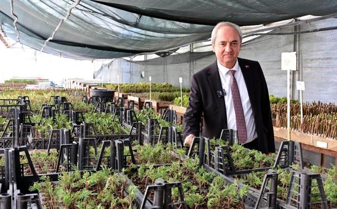 Kepez'den kurakçıl peyzaj hamlesi