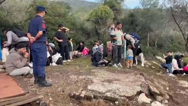 Milas’ta 74 kaçak göçmen yakalandı