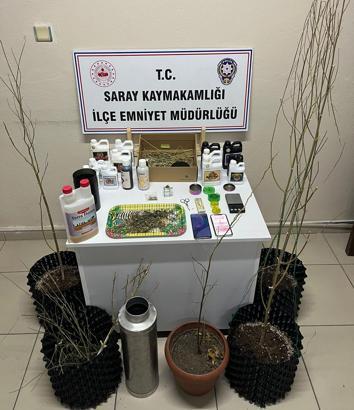 Evlerine kurdukları sistemle kenevir yetiştirip uyuşturucu üreten 5 şüpheli gözaltında