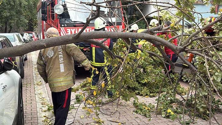 Beşiktaş ve Şişli’de ağaçla elektrik direği araçların üstüne devrildi