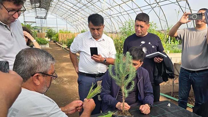 Muğla'da Özbek ormancılardan teknik inceleme