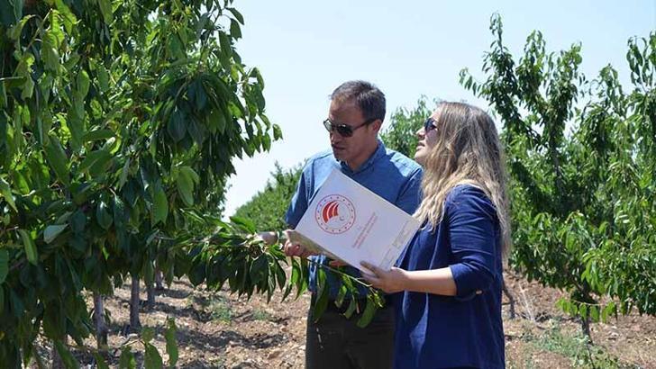 Eskişehir’de zirai dondan etkilenen 606 çiftçiye, 55 milyon lira yardım