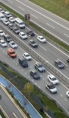 İstanbul - Ümraniye'de otoyol üzerinde ilerleyen koyun, sürücülere zor anlar yaşattı