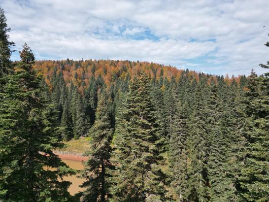 Bartın ve Karabük yaylalarında sonbahar güzelliği
